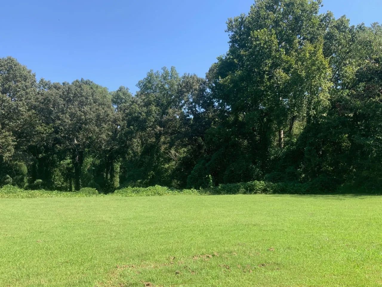 Quiet Country 10 Acre Tract Located in Henry County Tennessee! - Puryear, Tennessee, 38251