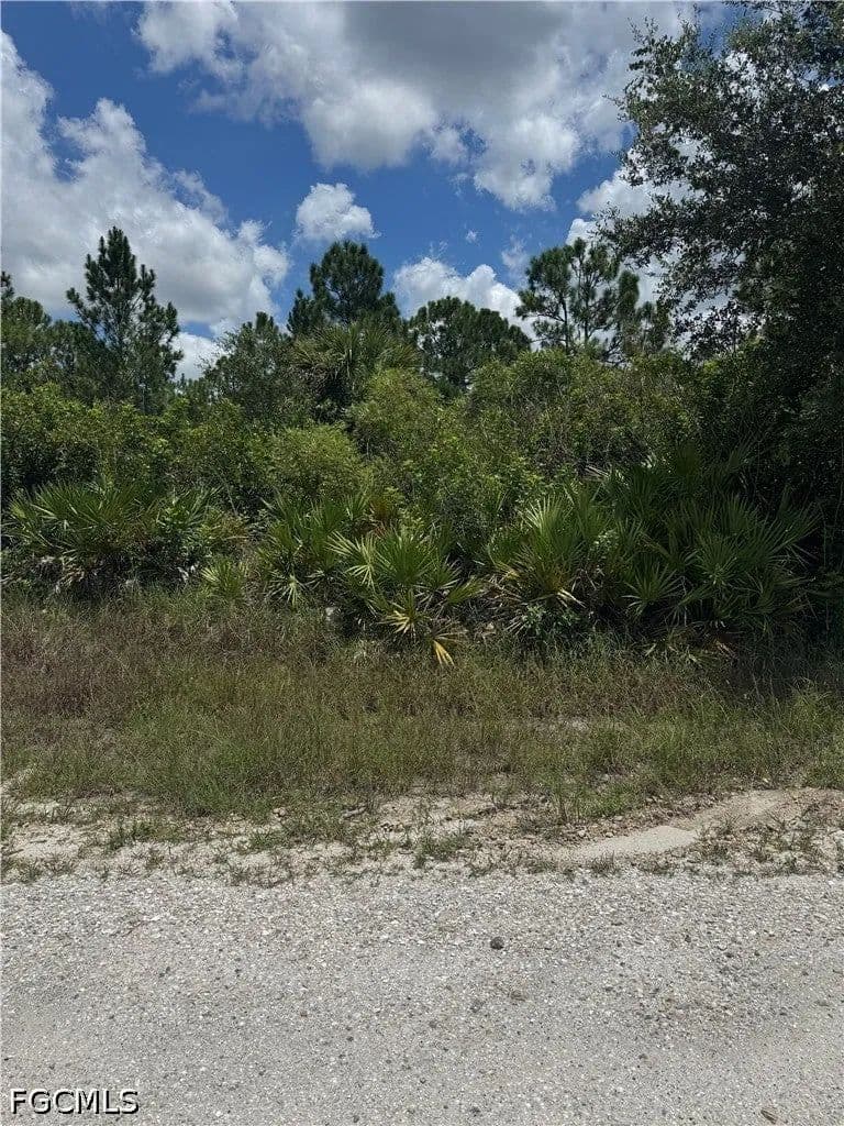 Lots & Land-Other in Lehigh Acres - Lehigh Acres, Florida, 33972