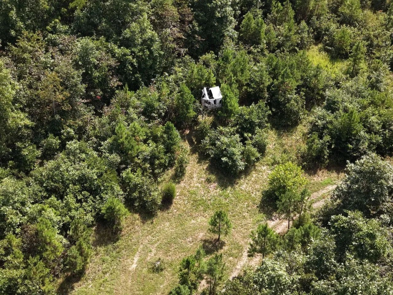 Stunning 36.08+/- AC Property in Reynolds Co. - Ellington, Missouri, 63638