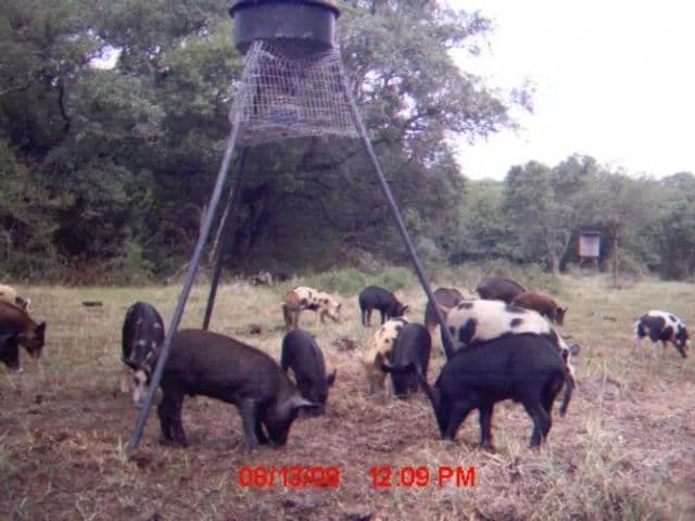 194 acres in Matagorda County, Texas