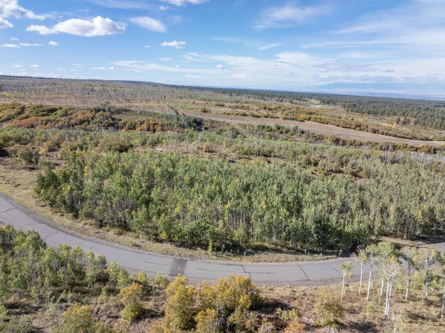Vacant Land in Montrose - Montrose, Colorado, 81403