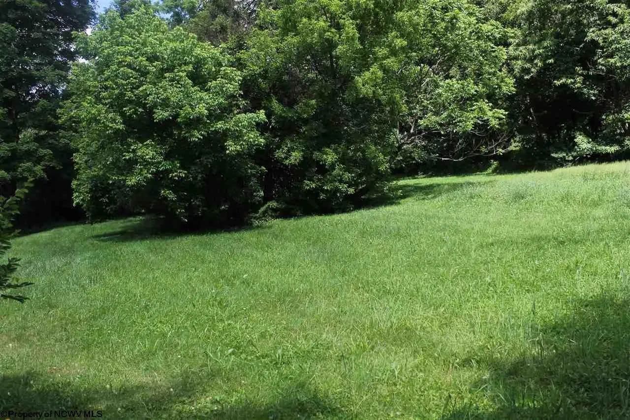 Lots & Land-Other in Elkins - Elkins, West Virginia, 26241