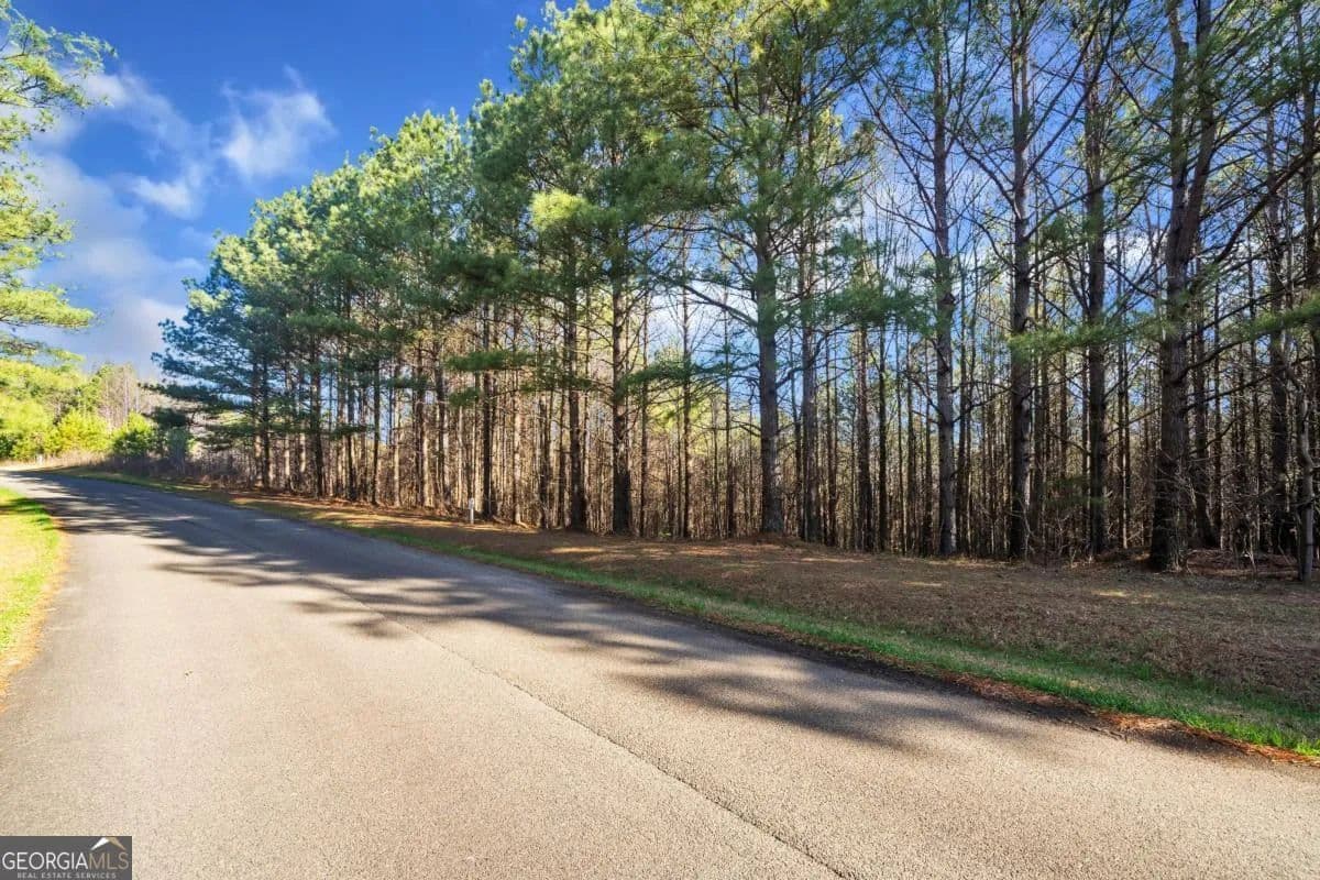 Vacant Land in Ellijay - Ellijay, Georgia, 30536