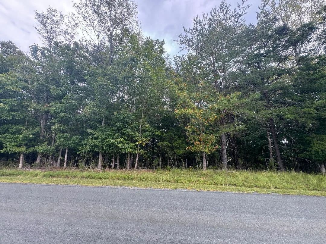 Vacant Land (0-10 Acres) in Monroe - Monroe, Virginia, 24574