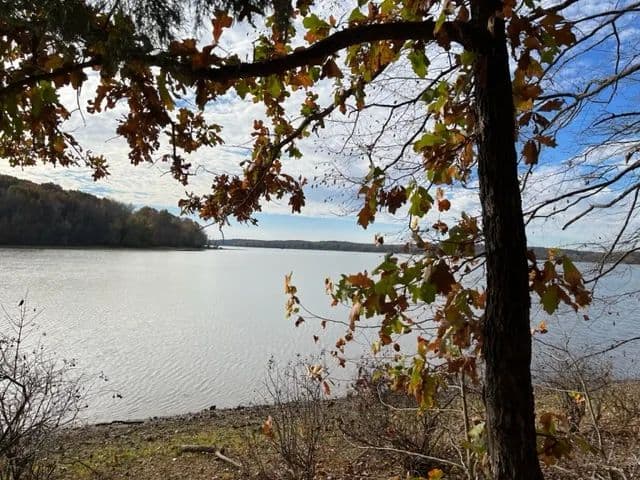 Vacant Land in Cadiz - Cadiz, Kentucky, 42211