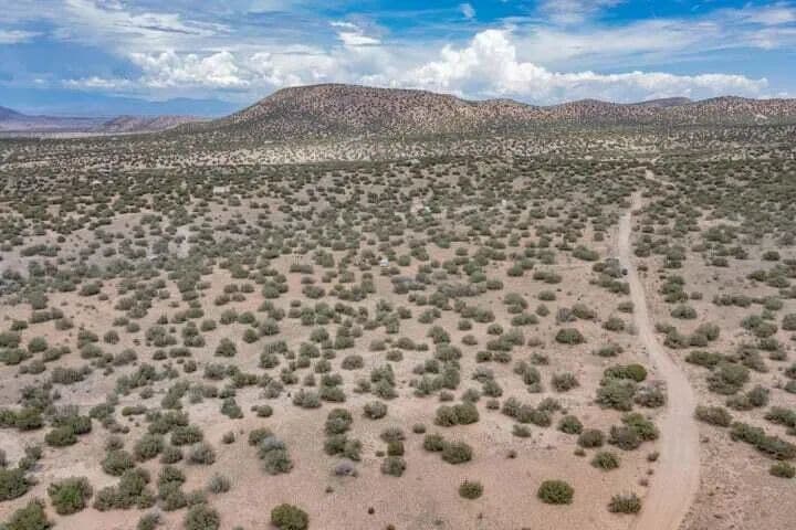 Property from 101 Dancing Horse Road - KW