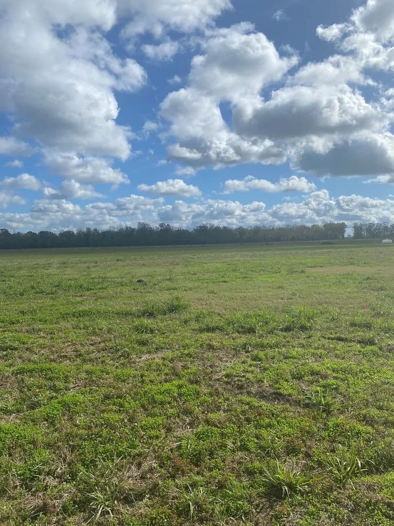 Land -Single Family Acreage in Plattenville - Plattenville, Louisiana, 70393