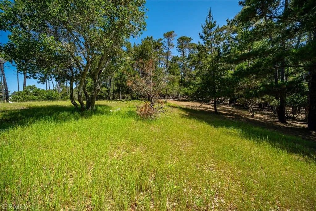 Vacant Land in Cambria - Cambria, California, 93428
