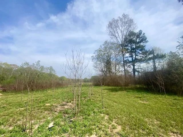 1.8 Acres| Amite County, MS
