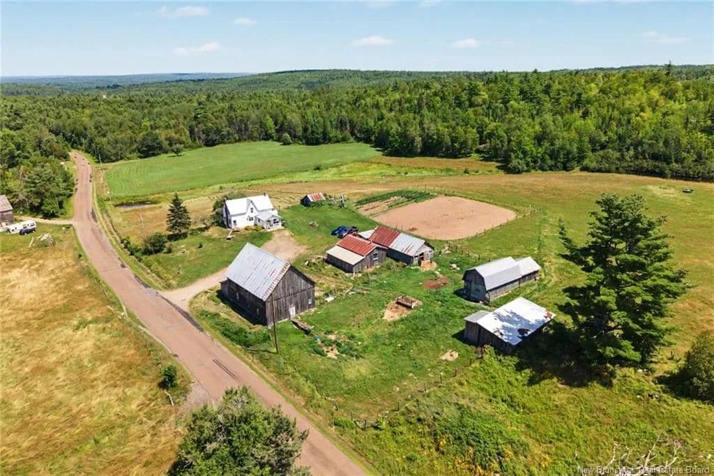 Land for Sale in Hoyt, NB - Canada