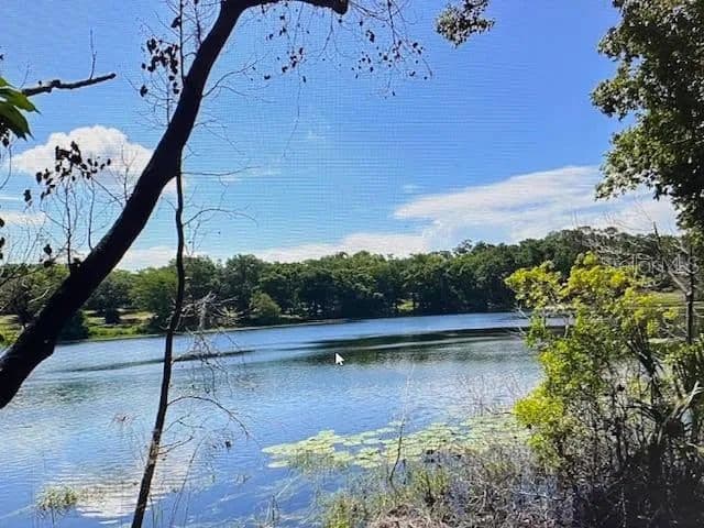 Vacant Land in Fruitland Park - Fruitland Park, Florida, 34731
