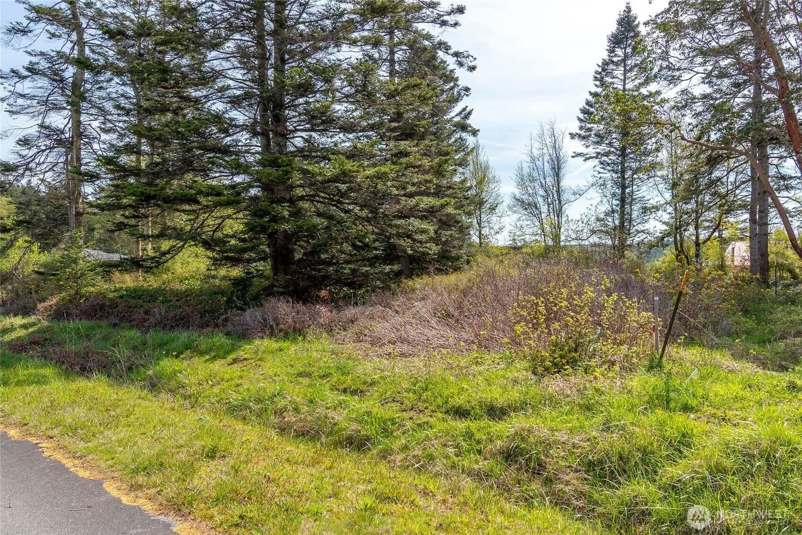 Vacant Land in Coupeville - Coupeville, Washington, 98239