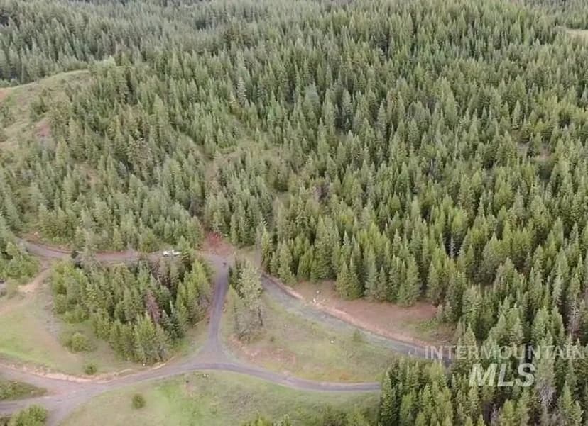 Lots & Land-Other in Orofino