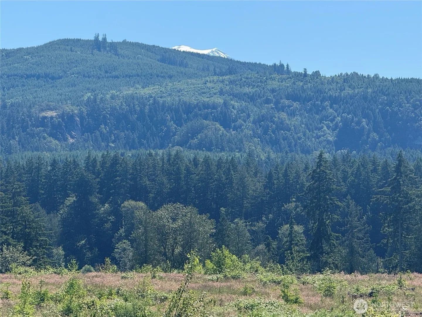 Lots & Land-Other in Eatonville - Eatonville, Washington, 98328