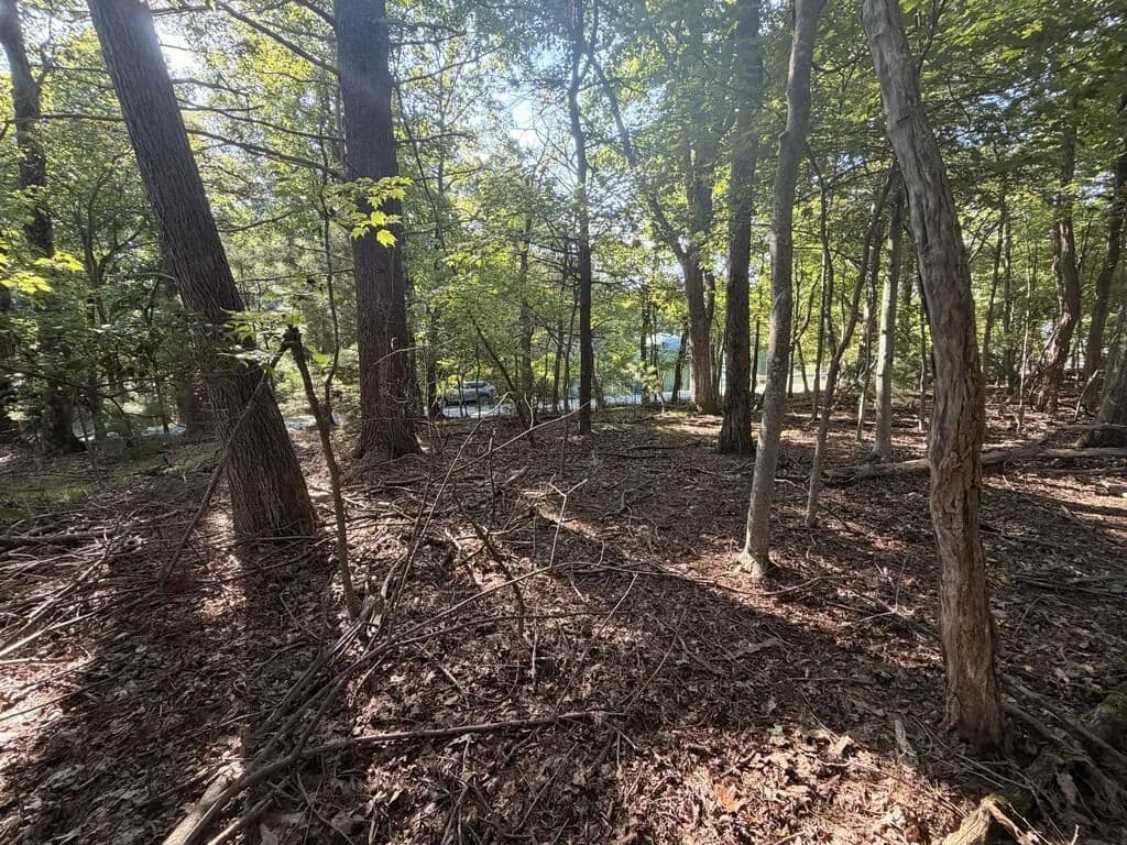 Vacant Land in Fancy Gap - Fancy Gap, Virginia, 24328