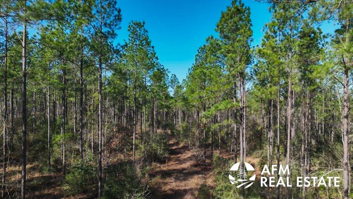 Tejas Hill Homesite Tract - Weches, Texas, 75844