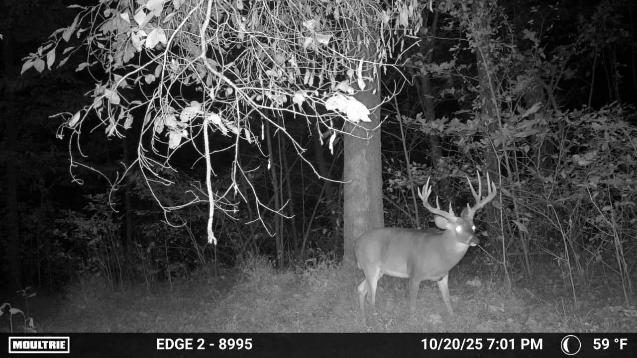 Big Buck Hunting Farm with Trophy Potential – Jackson County - Murphysboro, Illinois, 62966