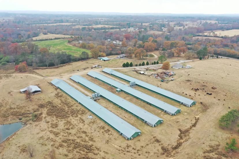 Brothers L&D Broiler Farm – Four House in Marshall Co., Alabama