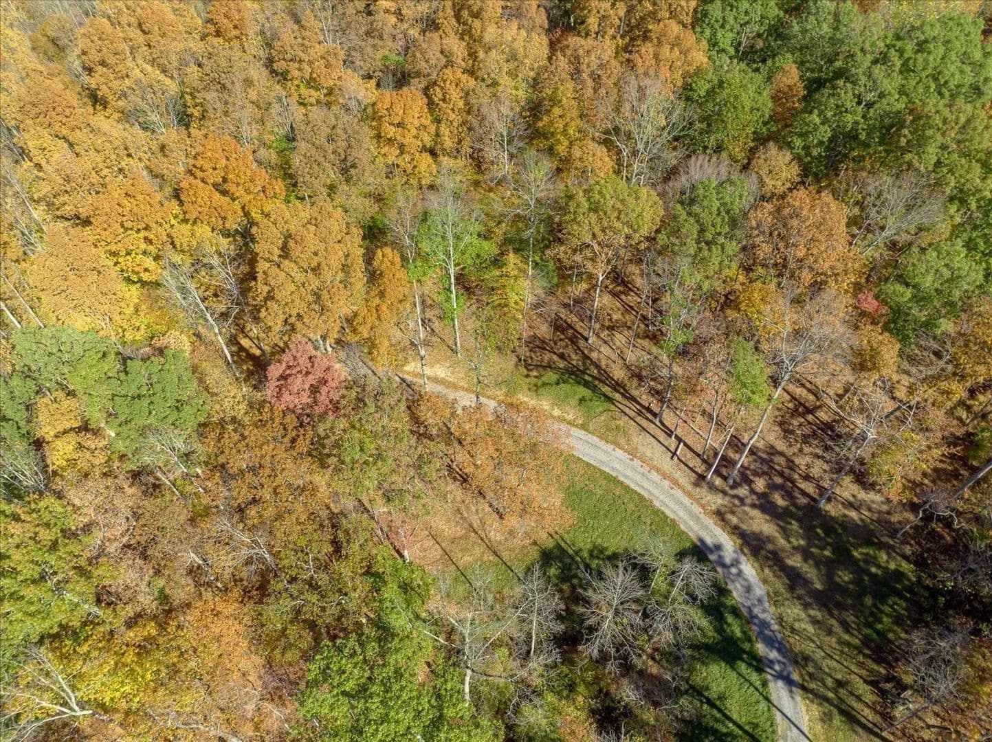 Property from 6057 Stone Cliff Lane - KW - Franklin, Tennessee, 37064