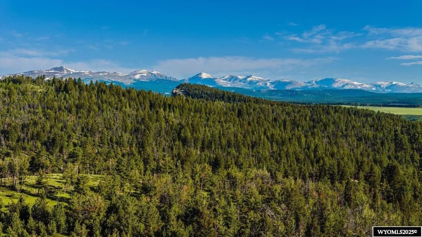 Vacant Land in Buffalo