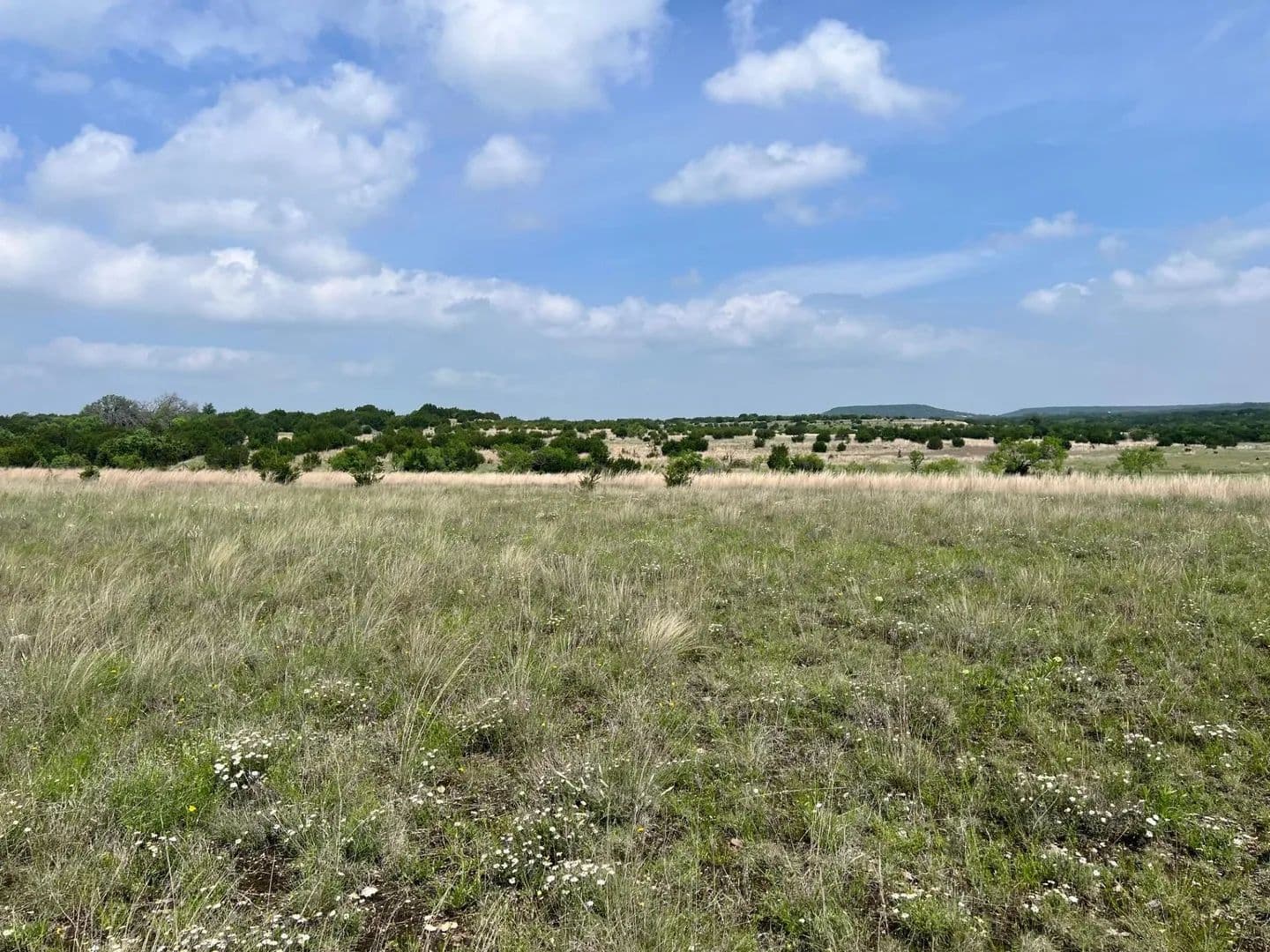 Vacant Land in Kempner - Kempner, Texas, 76539