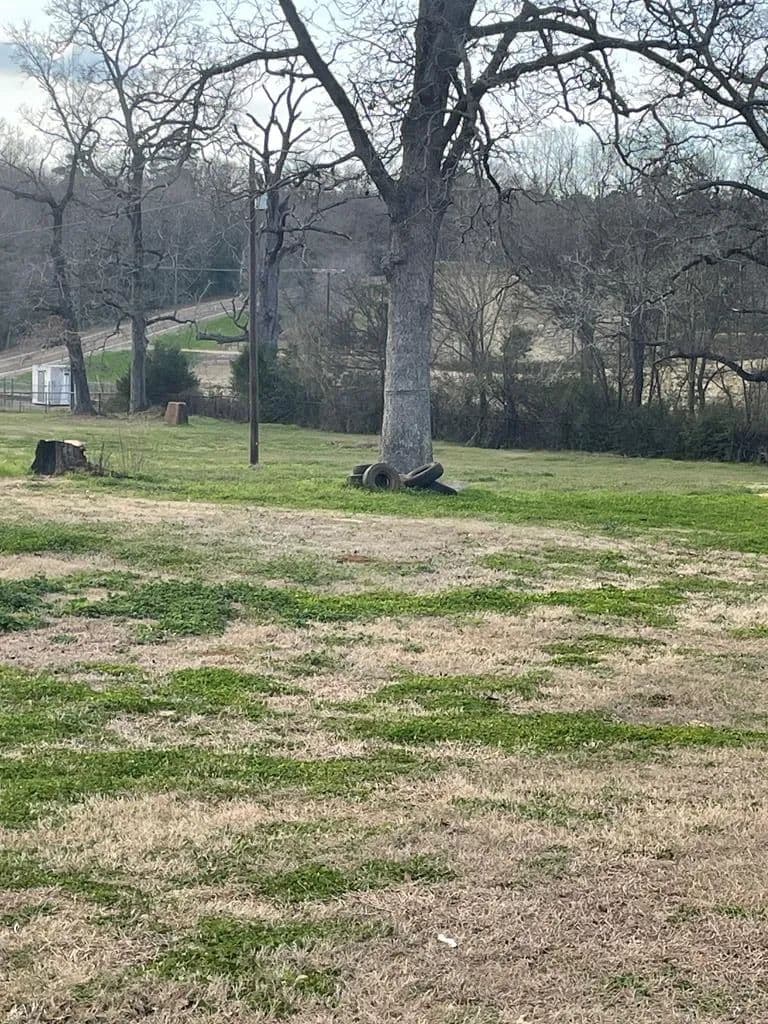 Lots & Land-Other in Nacogdoches