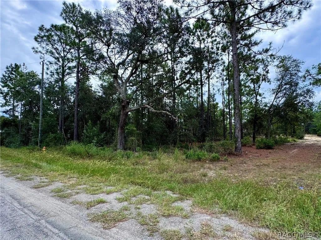 0.23 Acres of Land for Sale in Citrus Springs, FL - Citrus Springs, Florida, 34433