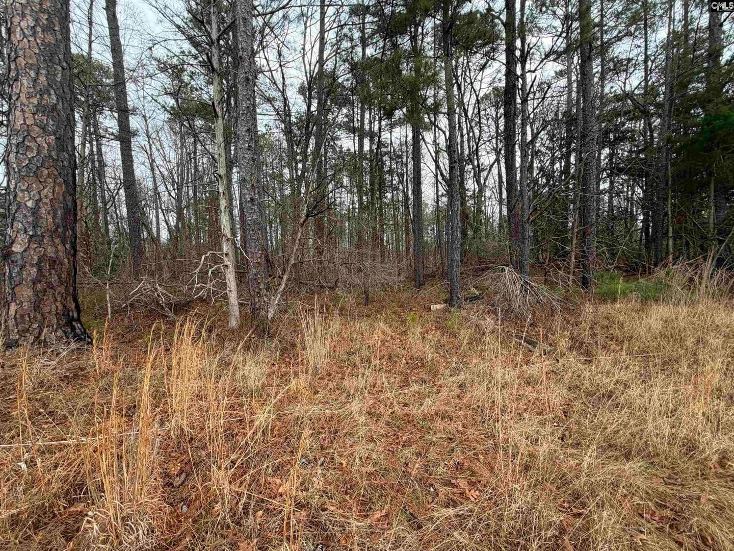 Vacant Land in Prosperity - Prosperity, South Carolina, 29127