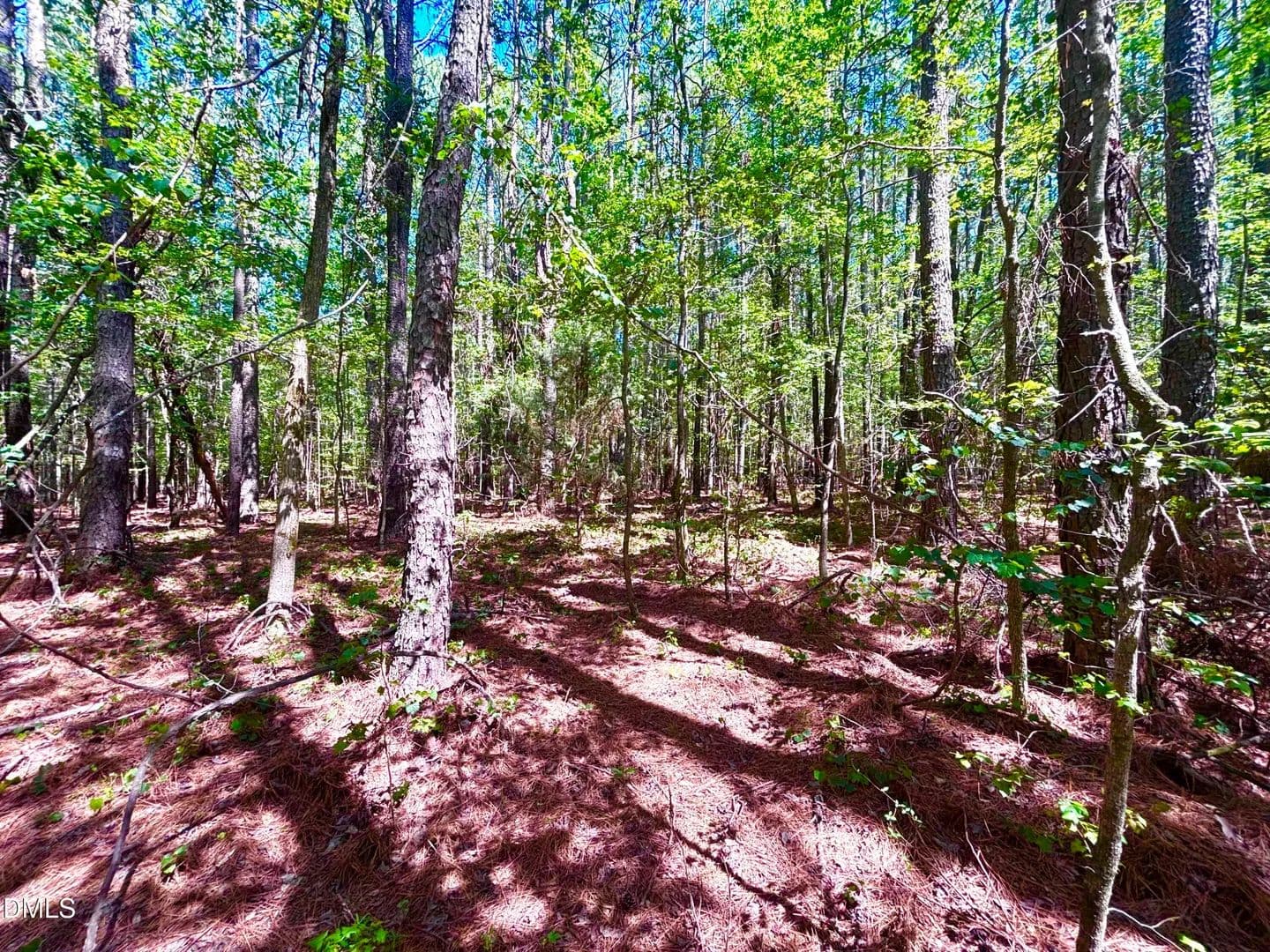 Vacant Land in Henderson - Henderson, North Carolina, 27537