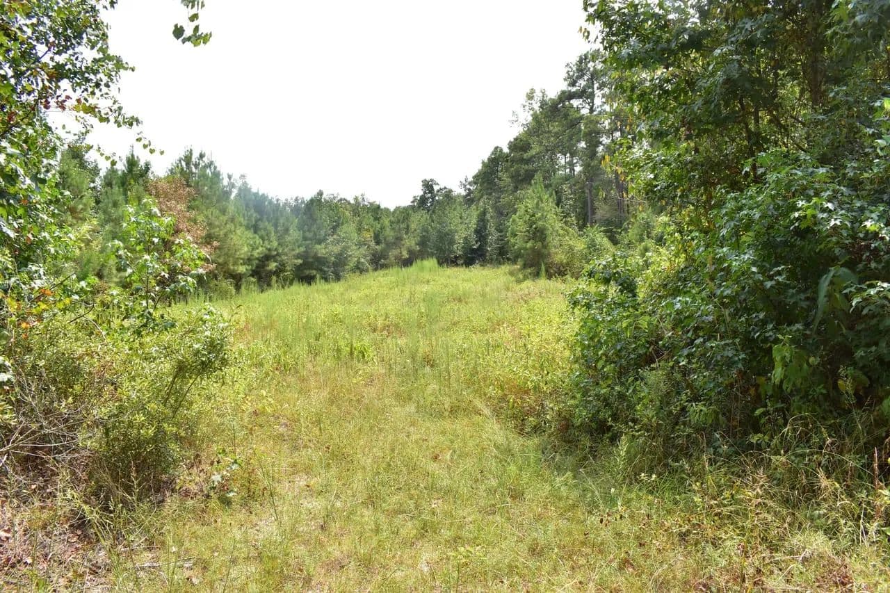 3 Creeks North A - El Dorado, Arkansas, 71730