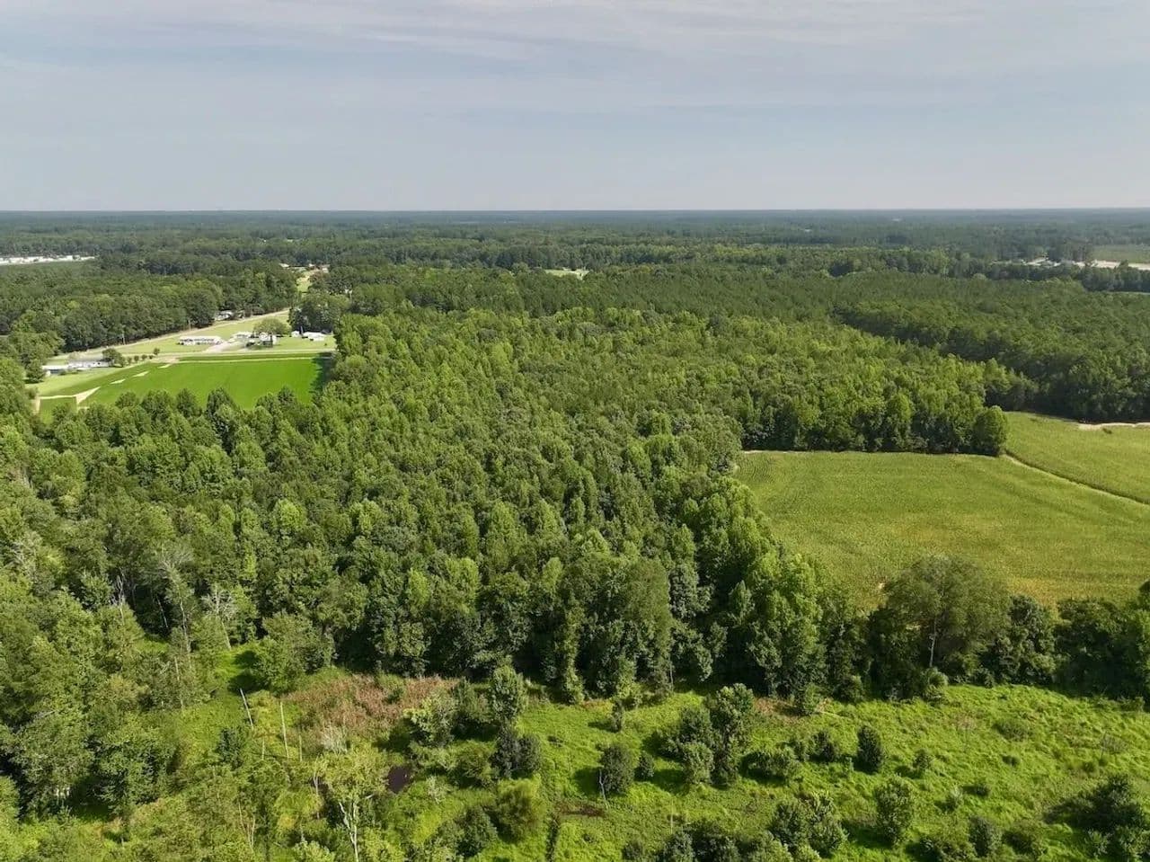 12.78 Acres of Mature Timberland for Sale in Wilson County, NC! - Lucama, North Carolina, 27851