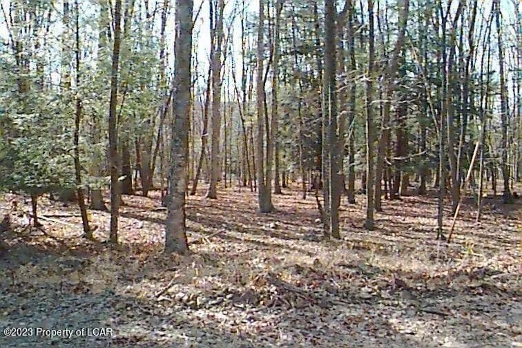 Lots & Land-Other in Hazleton - Hazleton, Pennsylvania, 18202