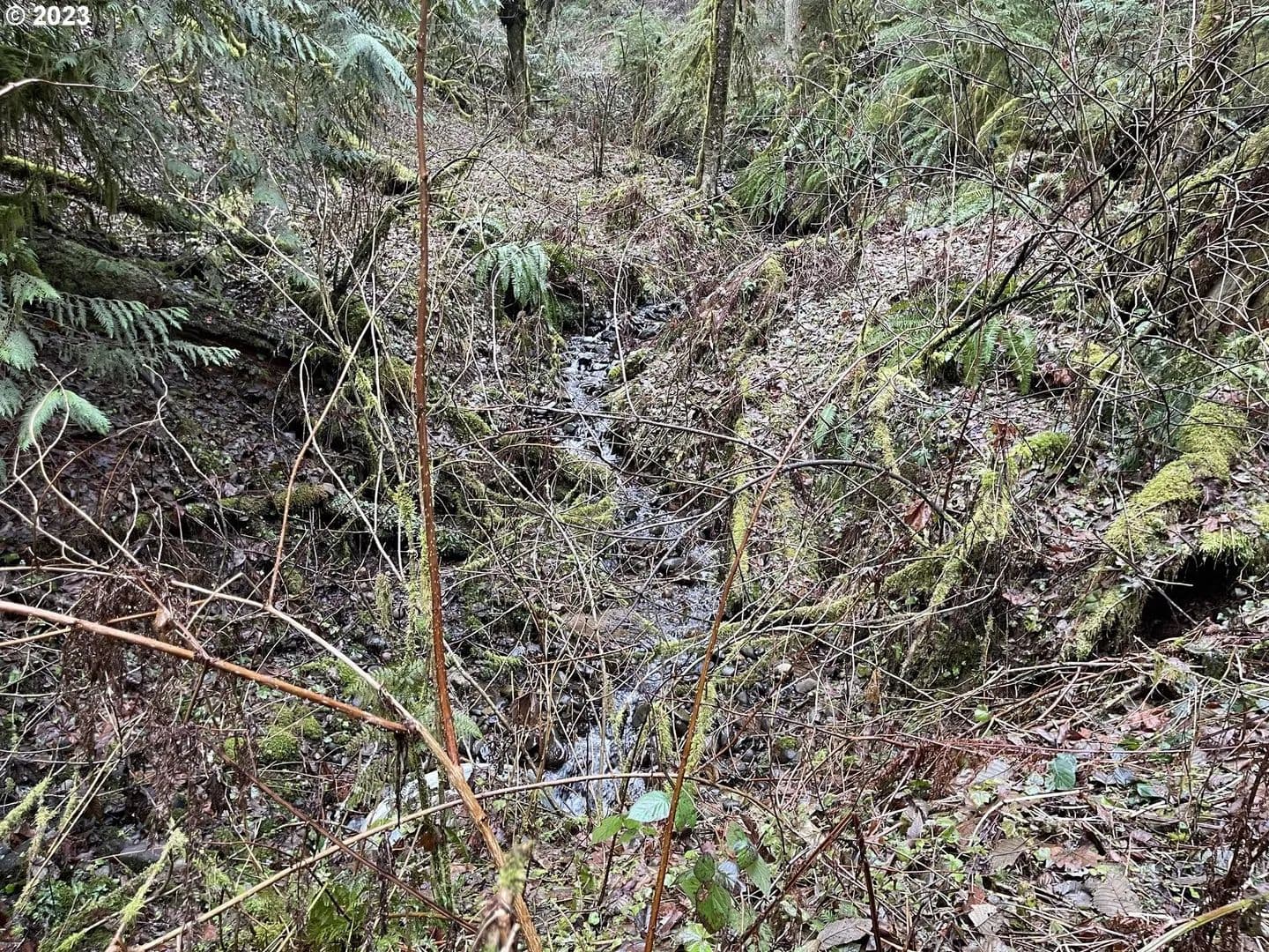 Lots & Land-Other in Washougal - Washougal, Washington, 98671