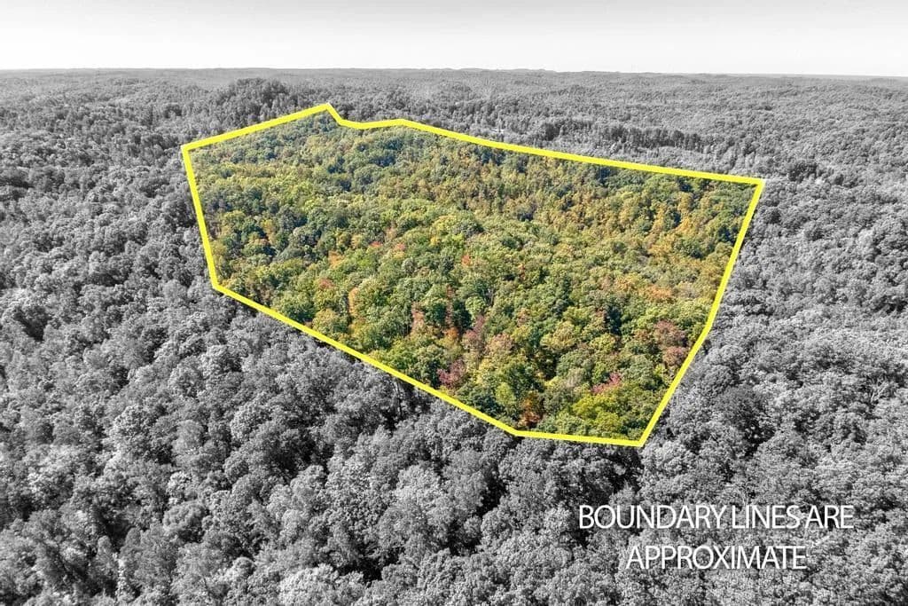Vacant Land in Stanton - Stanton, Kentucky, 40380