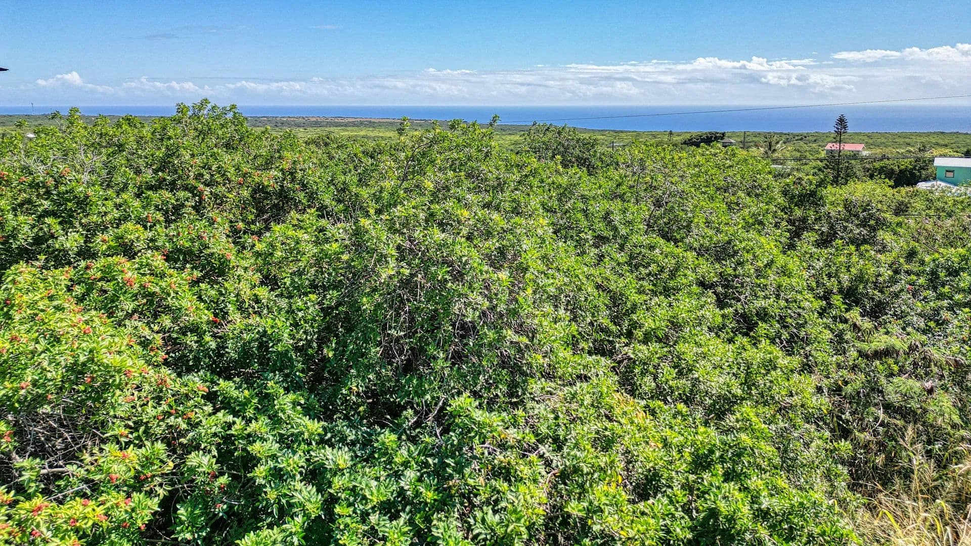 0.28 Acres of Land for Sale in Naalehu, Hawaii - Naalehu, Hawaii, 96772