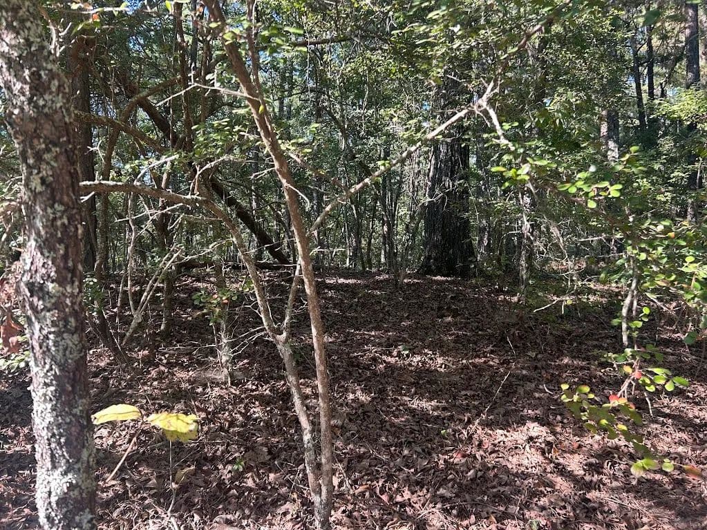 Land -Agricultural (Not Zoned) in Whitesburg - Whitesburg, Georgia, 30185