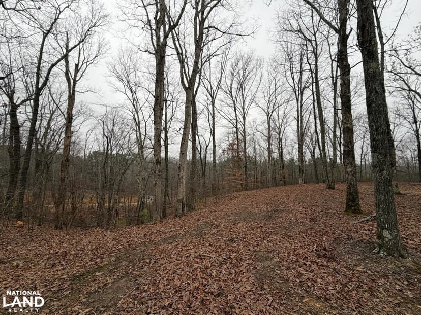 0 Highway 50 East Lot 3
