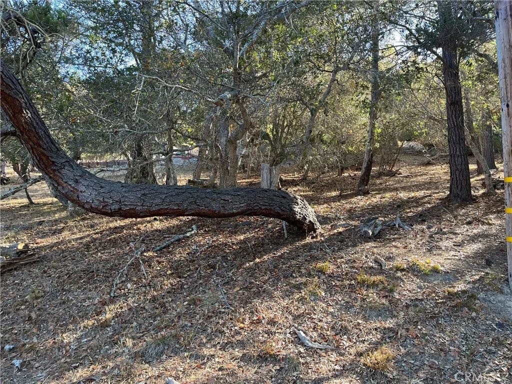 Vacant Land in Cambria - Cambria, California, 93428