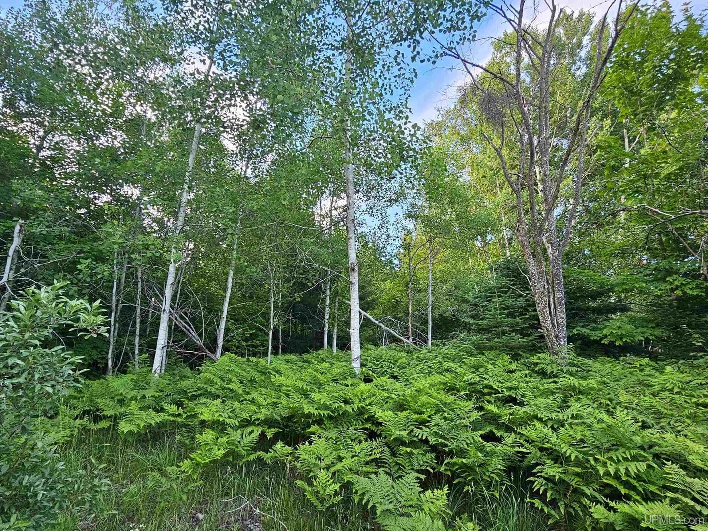 Vacant Land in Houghton - Houghton, Michigan, 49931