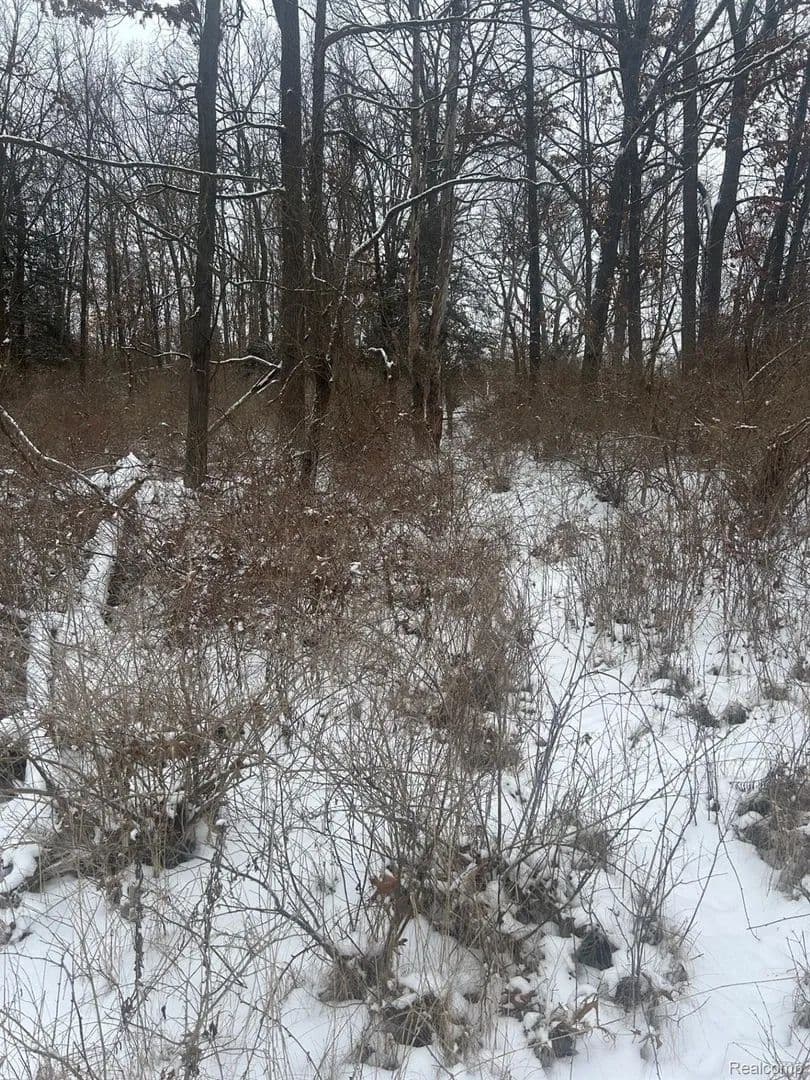 Property from 12840 LARKINS Road - KW