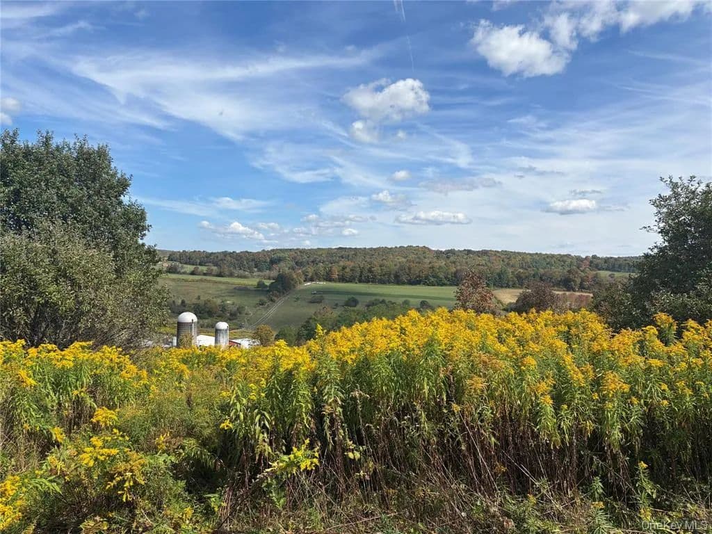 Lots & Land-Other in Westford - Westford, New York, 13326