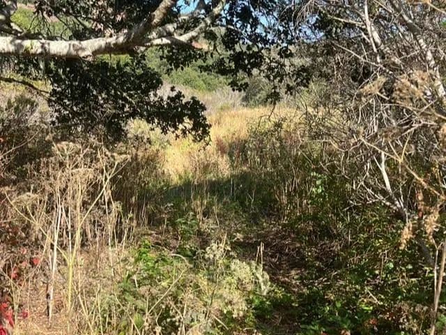Vacant Land in Salinas
