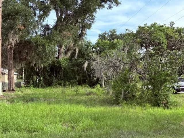 0.15 Acres of Land for Sale in BUSHNELL, FL - Bushnell, Florida, 33513