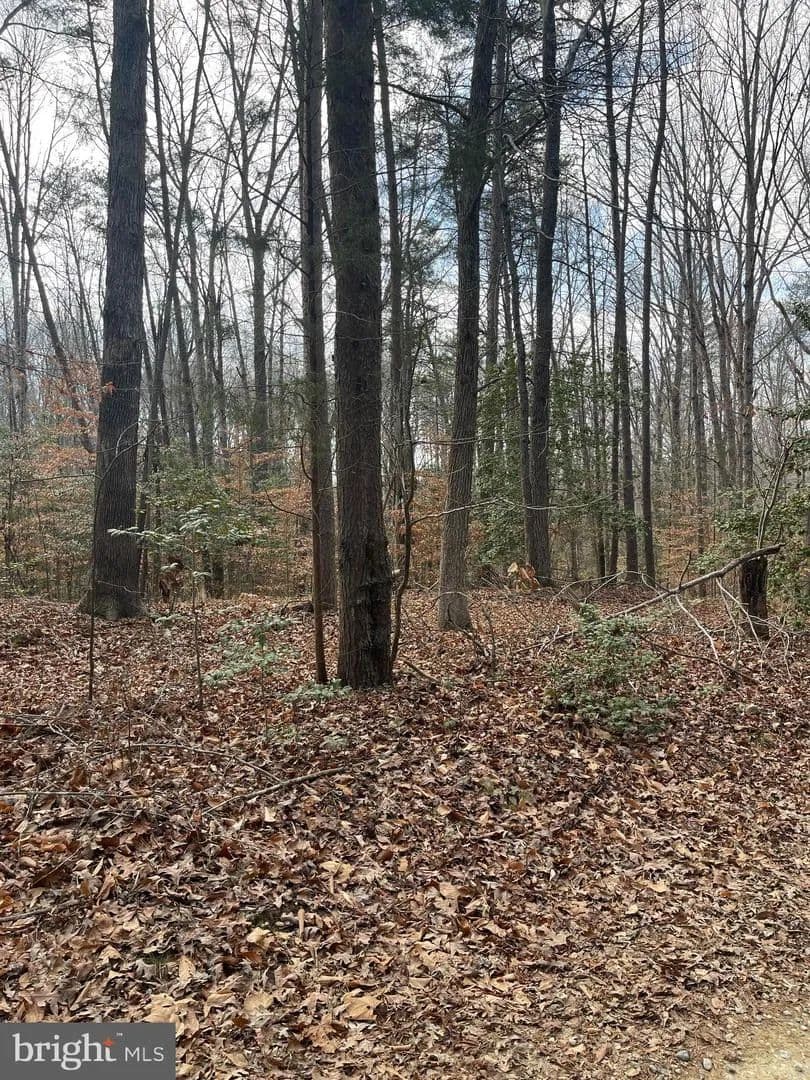 Vacant Land in Woodford - Woodford, Virginia, 22580