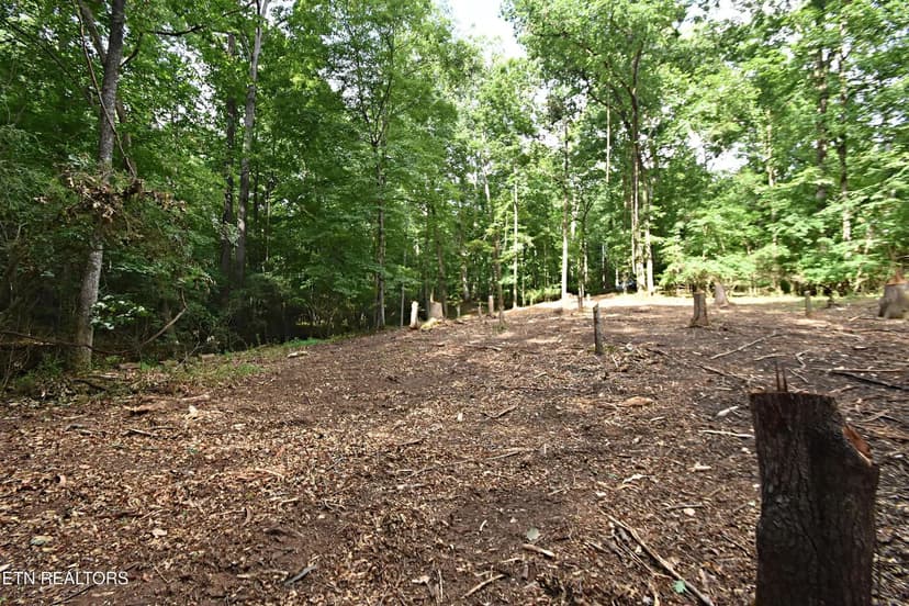 Property from 0 Early Rd #2 - KW