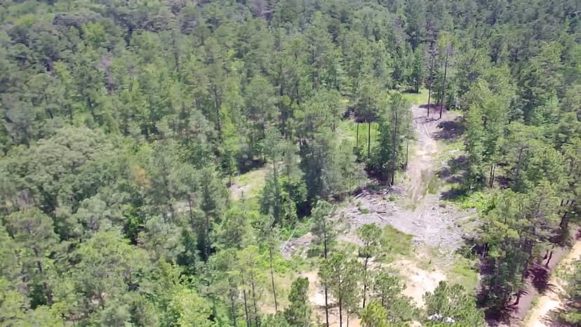 40 +/- Acres of Shelby County Land