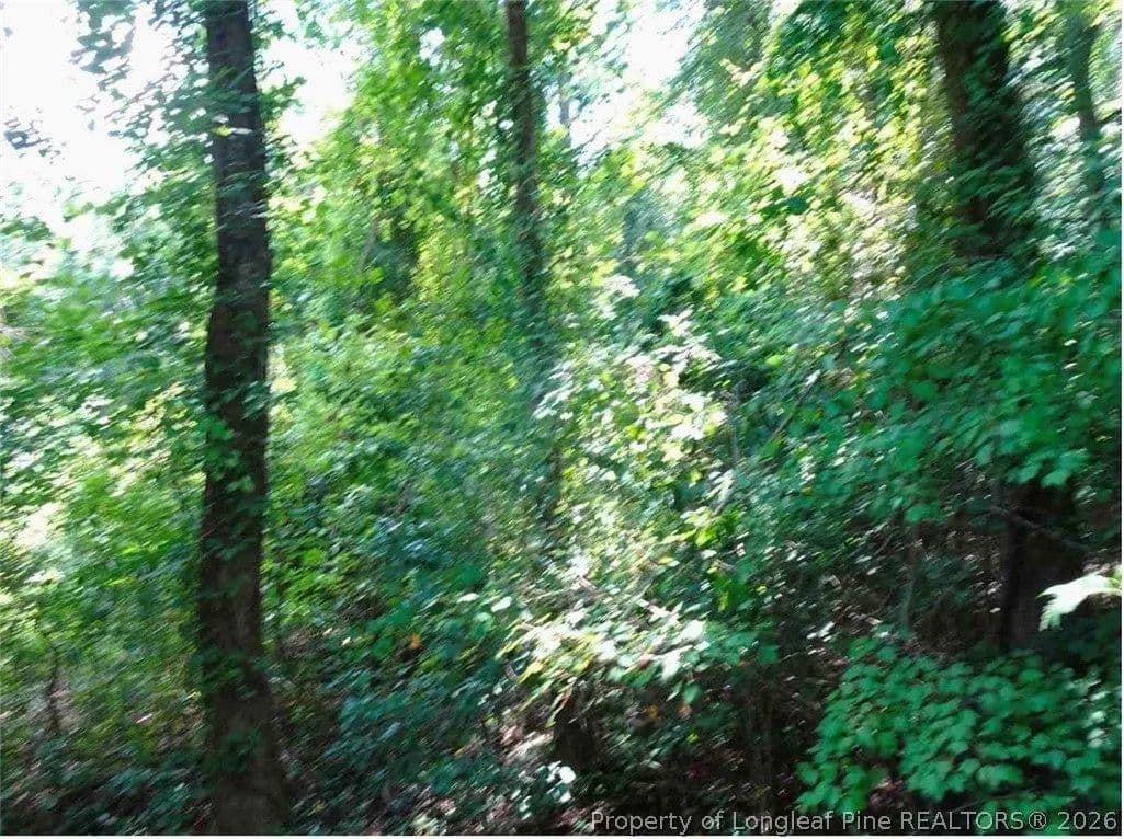 Lots & Land-Other in Eastover - Eastover, North Carolina, 28312