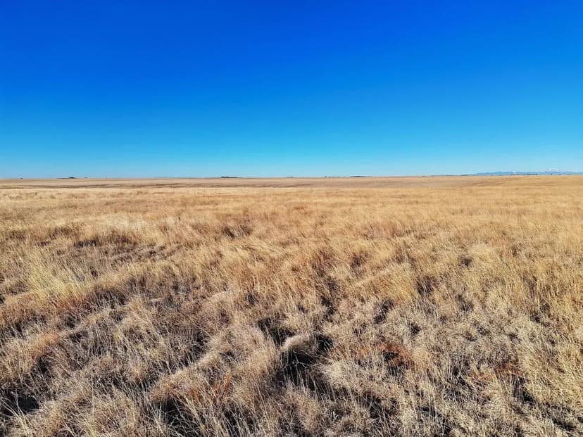 Pasture with  Potential Building Sites & Close Proximity to Highway 94
