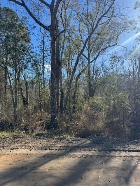 Land -Single Family Acreage in Adel - Adel, Georgia, 31620