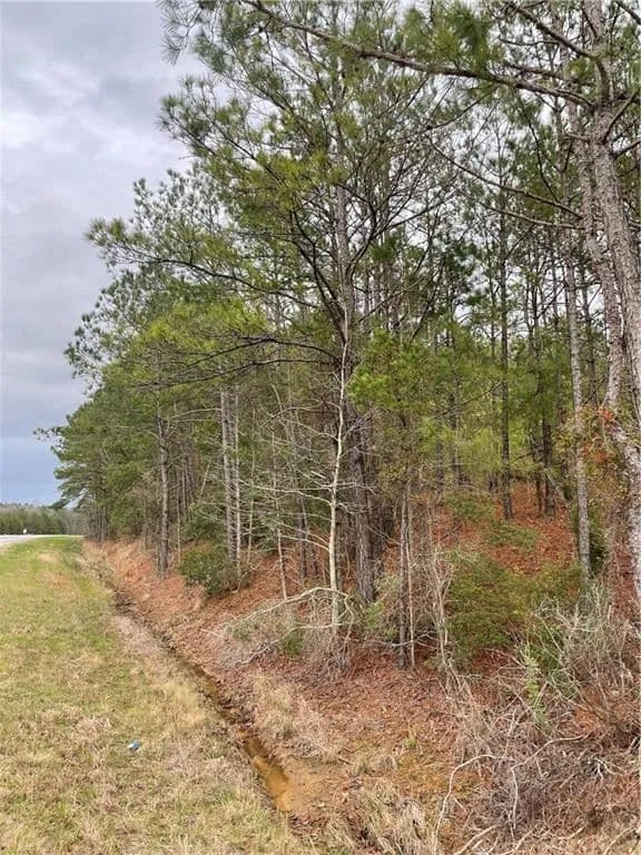 6.28 Acres of Land for Sale in Phenix City, Alabama - Phenix City, Alabama, 36869